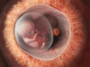 embryo_m